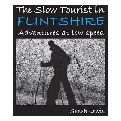 Slow Tourist in Flintshir - Lewis, Sarah