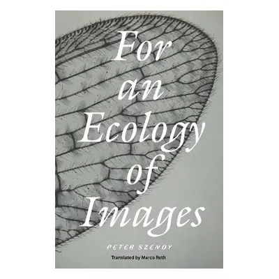 For an Ecology of Images - Szendy, Peter