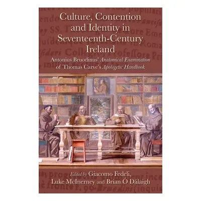 Culture, Contention and Identity in Seventeenth-Century Ireland