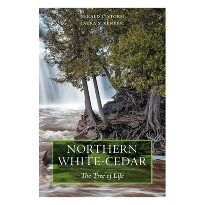 Northern White-Cedar