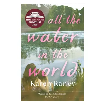 All the Water in the World - Raney, Karen