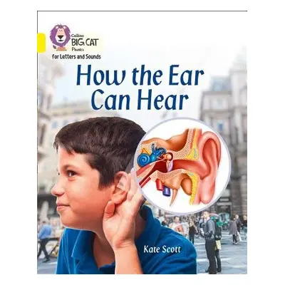 How the Ear Can Hear - Scott, Kate