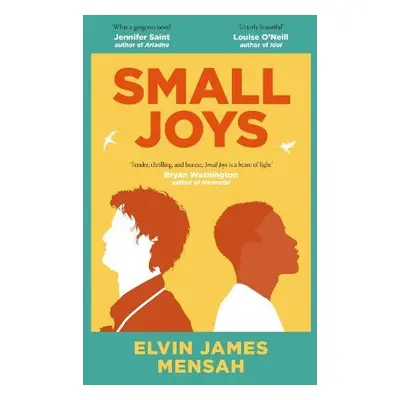 Small Joys - Mensah, Elvin James