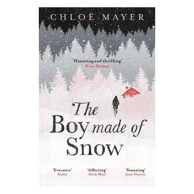 Boy Made of Snow - Mayer, Chloe