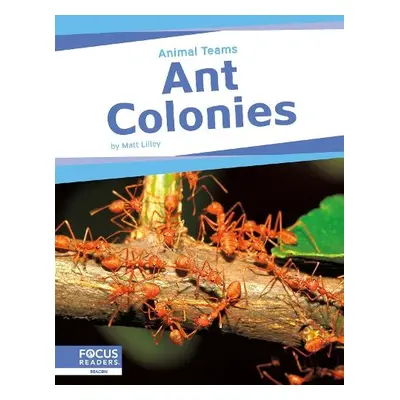 Ant Colonies - Lilley, Matt