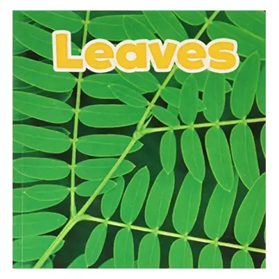 Leaves - Kirkman, Marissa (Product Manager)