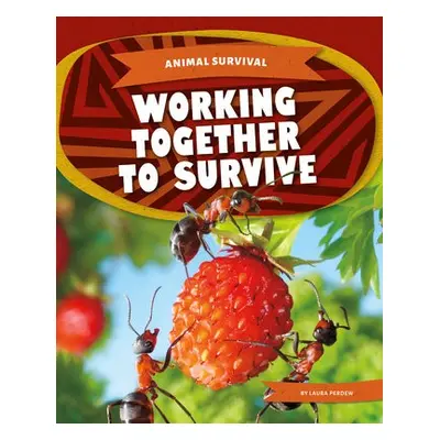 Animal Survival: Working Together to Survive - Perdew, Laura