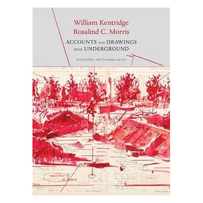 Accounts and Drawings from Underground - Kentridge, William a Morris, Rosalind C