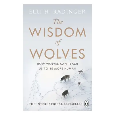 Wisdom of Wolves - Radinger, Elli H.