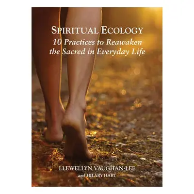 Spiritual Ecology - Vaughan-Lee, Llewellyn (Llewellyn Vaughan-Lee )