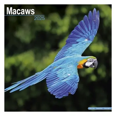 Macaws Calendar 2025 Square Bird Wall Calendar - 16 Month