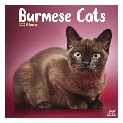 Cats - Burmese Calendar 2025 Square Cat Wall Calendar - 16 Month