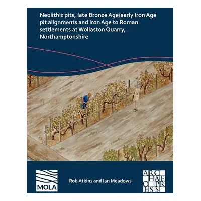 Neolithic Pits, Late Bronze Age/Early Iron Age Pit Alignments and Iron Age to Roman Settlements 