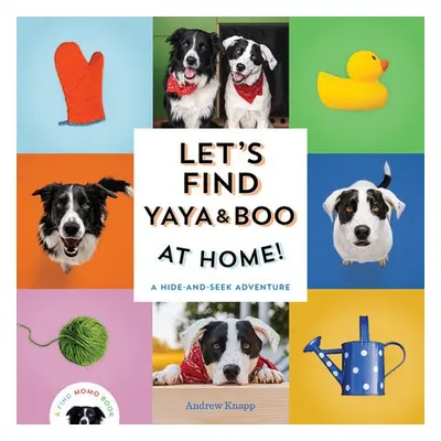 Let's Find Yaya and Boo at Home! - Knapp, Andrew