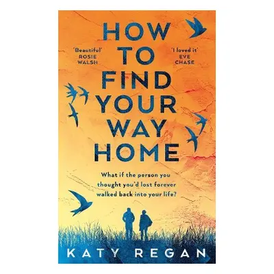 How To Find Your Way Home - Regan, Katy