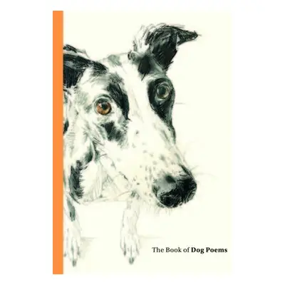 Book of Dog Poems - Sampson, Ana