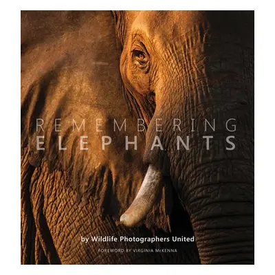 Remembering Elephants