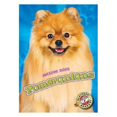 Pomeranians - Brown, Domini