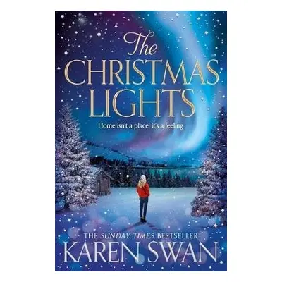 Christmas Lights - Swan, Karen