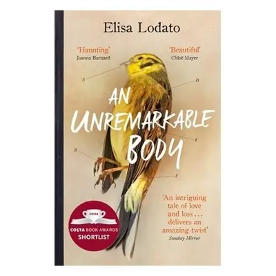 Unremarkable Body - Lodato, Elisa