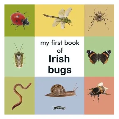 My First Book of Irish Bugs