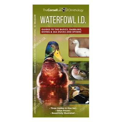 Waterfowl Id Set - McGowan, Kevin J