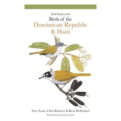 Field Guide to the Birds of the Dominican Republic and Haiti - Latta, Steven a Rimmer, Christoph