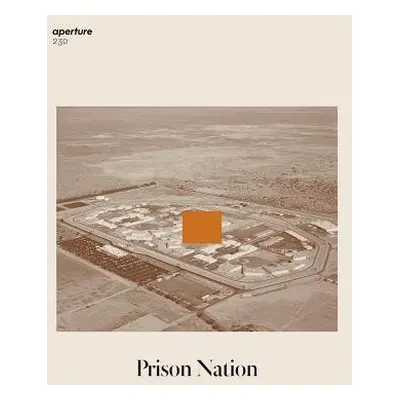 Prison Nation: Aperture 230