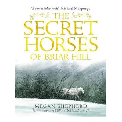 Secret Horses of Briar Hill - Shepherd, Megan