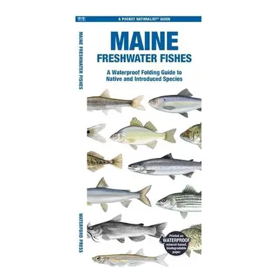 Maine Freshwater Fishes - Morris, Matthew, Waterford Press