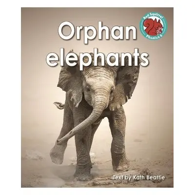 Orphan elephants - Beattie, Kath