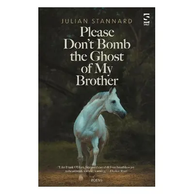 Please Don’t Bomb the Ghost of My Brother - Stannard, Julian