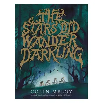 Stars Did Wander Darkling - Meloy, Colin