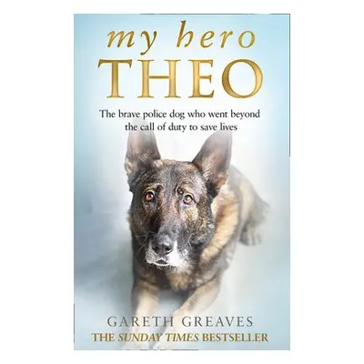 My Hero Theo - Greaves, Gareth