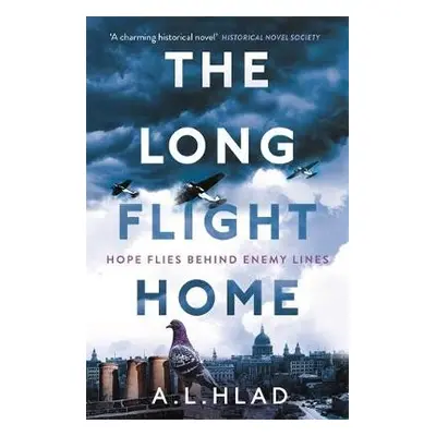 Long Flight Home - Hlad, A.L.