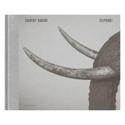 Elephant - Baheux, Laurent