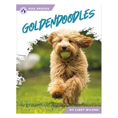 Goldendoodles - Wilson, Libby