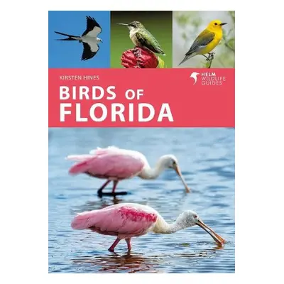 Birds of Florida - Hines, Kirsten