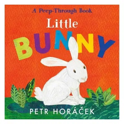 Little Bunny - Horacek, Petr