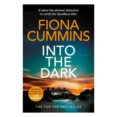 Into the Dark - Cummins, Fiona