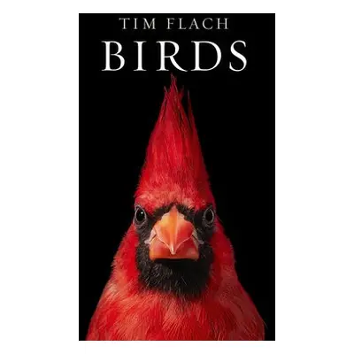 Birds - Flach, Tim