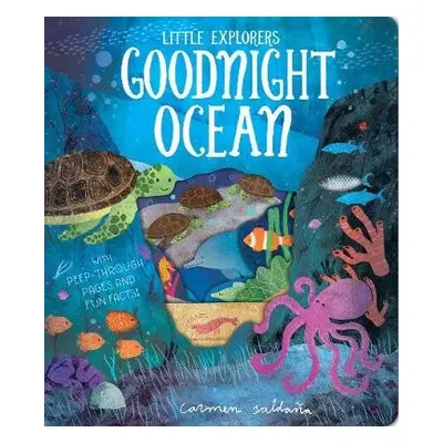 Goodnight Ocean - Davies, Becky