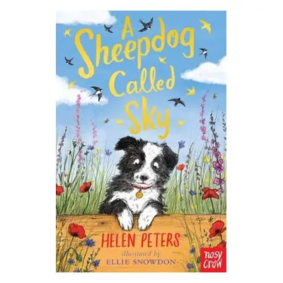 Sheepdog Called Sky - Peters, Helen