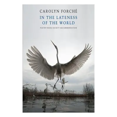 In the Lateness of the World - Forche, Carolyn