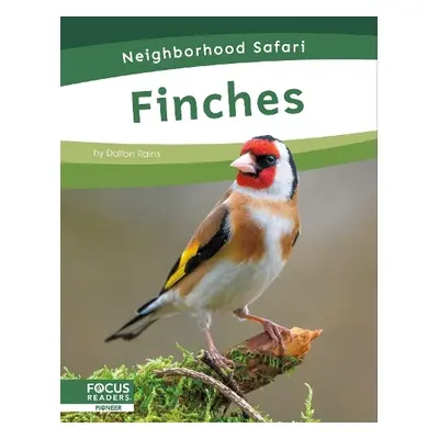 Finches - Rains, Dalton