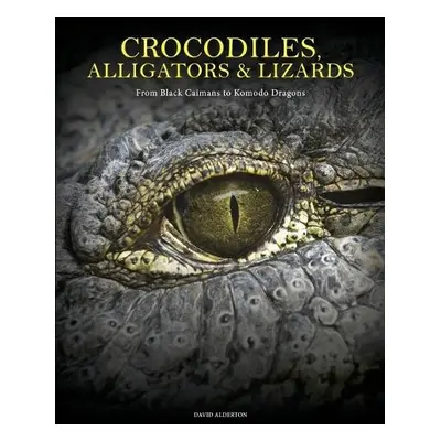 Crocodiles, Alligators a Lizards - Alderton, David