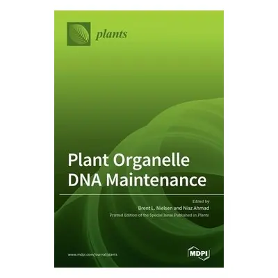 Plant Organelle DNA Maintenance