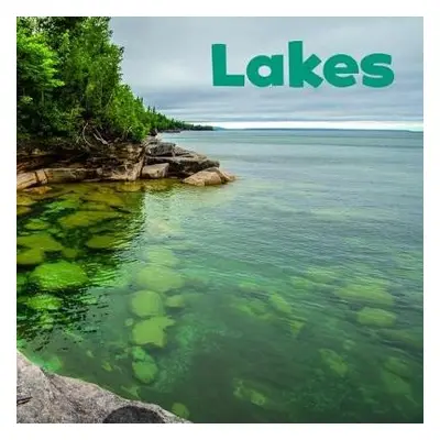 Lakes - Shores, Erika L. (Digital Editor)