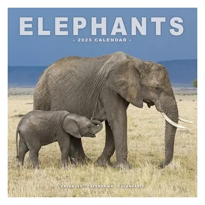 Elephants Calendar 2025 Square Wildlife Safari Wall Calendar - 16 Month