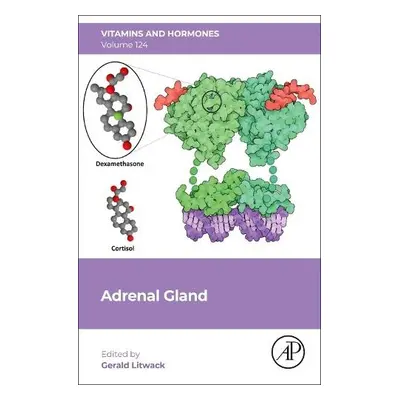 Adrenal Gland